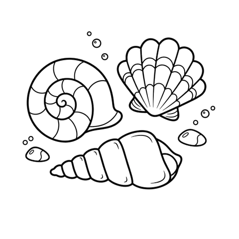 Seashells free under the sea coloring page line art